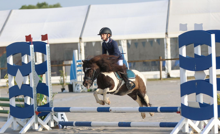 vittel|cheval|©VittelRondPréÉquitation