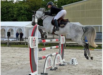 vittel|cheval|©VittelRondPréÉquitation