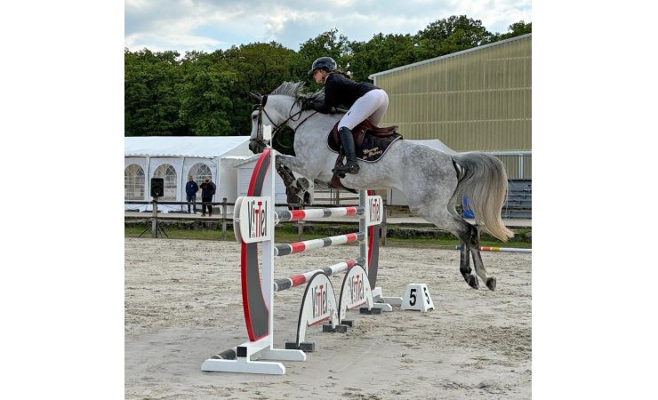 vittel|cheval|©VittelRondPréÉquitation