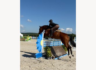 vittel|cheval|©VittelRondPréÉquitation