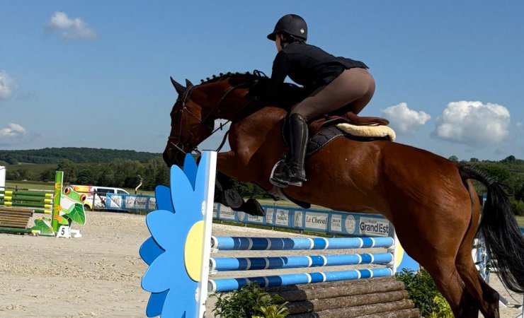 vittel|cheval|©VittelRondPréÉquitation