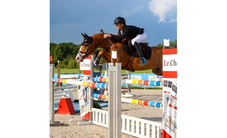 vittel|cheval|©VittelRondPréÉquitation