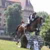 vittel|cheval|©VittelRondPréÉquitation