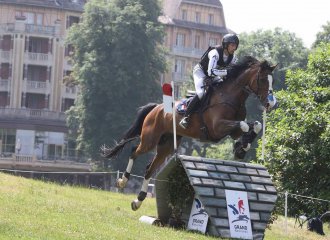 vittel|cheval|©VittelRondPréÉquitation