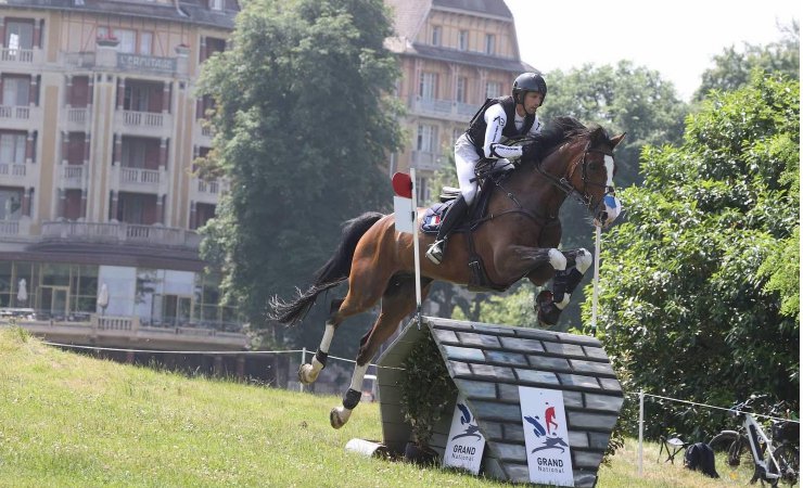 vittel|cheval|©VittelRondPréÉquitation