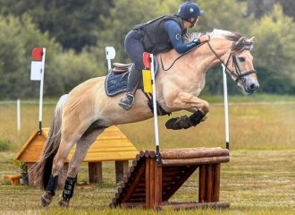 vittel|cheval|©VittelRondPréÉquitation