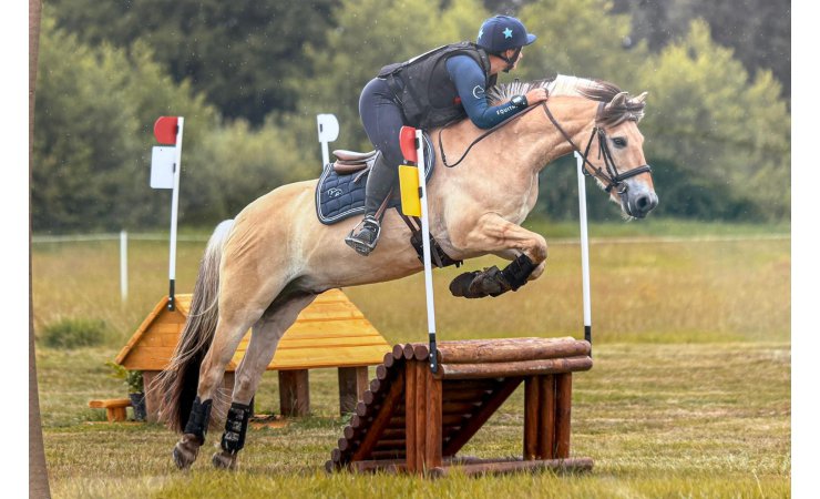 vittel|cheval|©VittelRondPréÉquitation