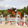 vittel|cheval|©VittelRondPréÉquitation