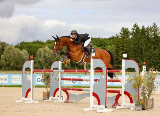 vittel|cheval|©VittelRondPréÉquitation