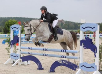 vittel|cheval|©VittelRondPréÉquitation