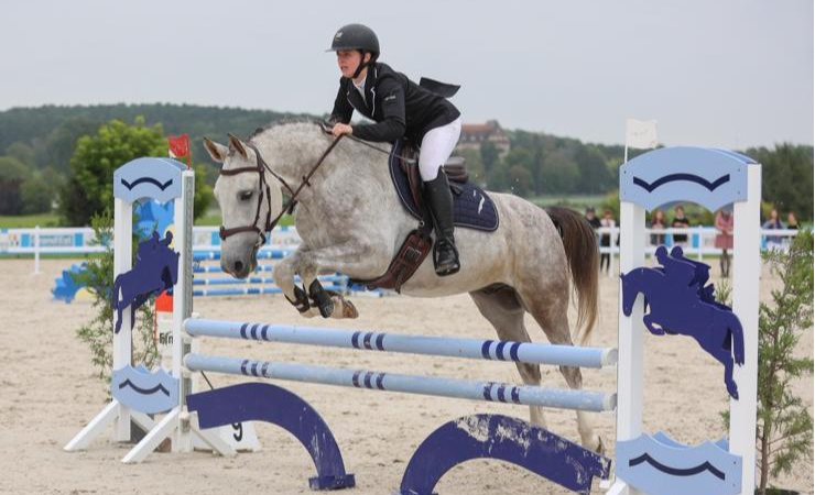 vittel|cheval|©VittelRondPréÉquitation