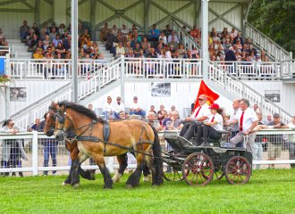 chevalardennais|vittel|hippodrome