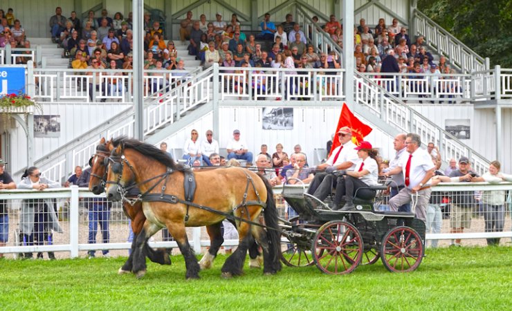 chevalardennais|vittel|hippodrome