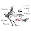 dessin|oiseau|associationoiseauxnature