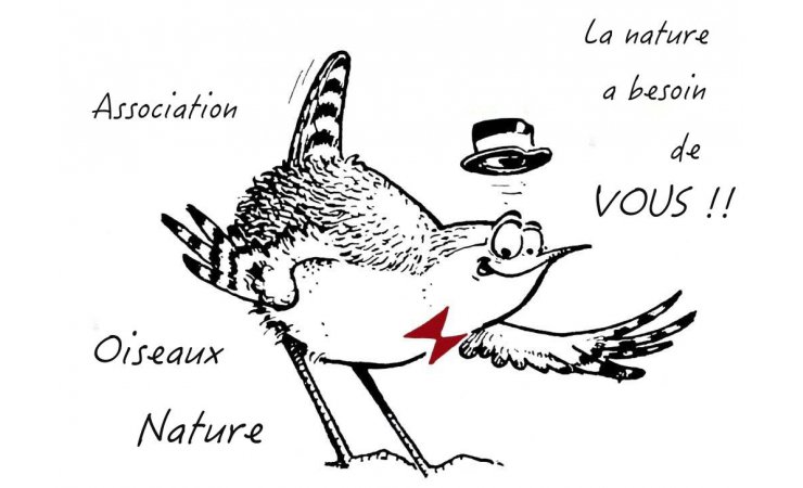 dessin|oiseau|associationoiseauxnature