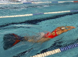 nagepalmes|cpovittel|piscine