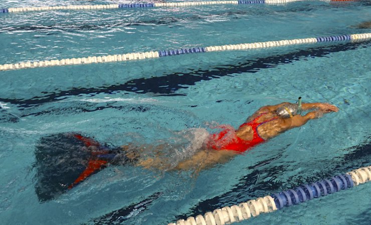nagepalmes|cpovittel|piscine