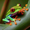 grenouille|©adobestock-554439837