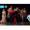 VITTEL|CARMEN|BALLET|ANIMATIONS