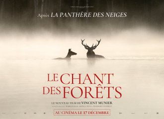 le chant des foret vittel