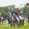 vittel|hippodrome|courseshippiques|cheval|jockey|© Jean-Jacques DALIA