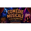 affiche comédie musicale