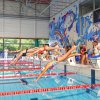 natation|plongée|cpo|vittel