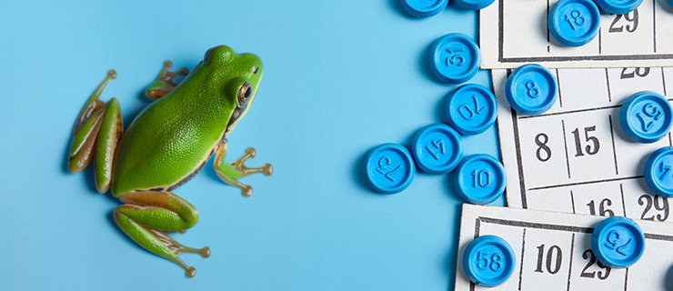 loto|grenouille|adobestock