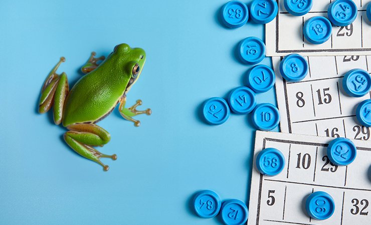 loto|grenouille|adobestock