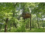 Hébergement insolite à la forêt parc © Jean-Jacques DALIA - ville de Vittel
