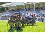 Concours national cheval © Jean-Jacques DALIA - ville de Vittel