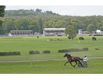 Trot à l'hippodrome © Jean-Jacques DALIA - ville de Vittel