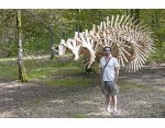 Elparo devant sa sculpture à la forêt-parc  © Jean-Jacques DALIA - ville de Vittel