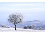 Vue sur la campagne vittelloise en hiver © Jean-Jacques DALIA - ville de Vittel